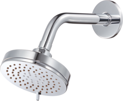 Overhead Shower Multi Flow